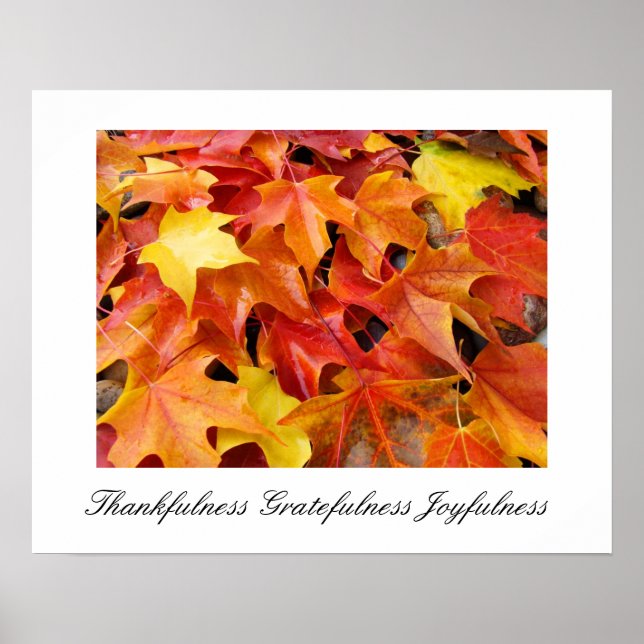 Herbst-Kunst Drucke Dankbarkeit Freude (Vorne)