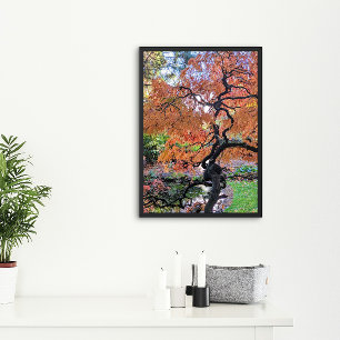 Herbst-Lackblatt-Japanischer Ahornbaum Botanisch Poster