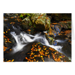 Herbst-Landschaft an den gezierten Ebene-Fällen