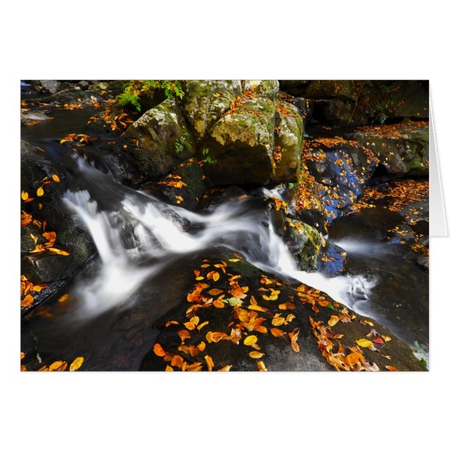 Herbst-Landschaft an den gezierten Ebene-Fällen (Vorderseite (Horizontal))