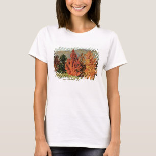 Herbst-Landschaft, c.1903 (Öl auf Leinwand) T-Shirt