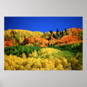 Herbst-Landschaft Poster
