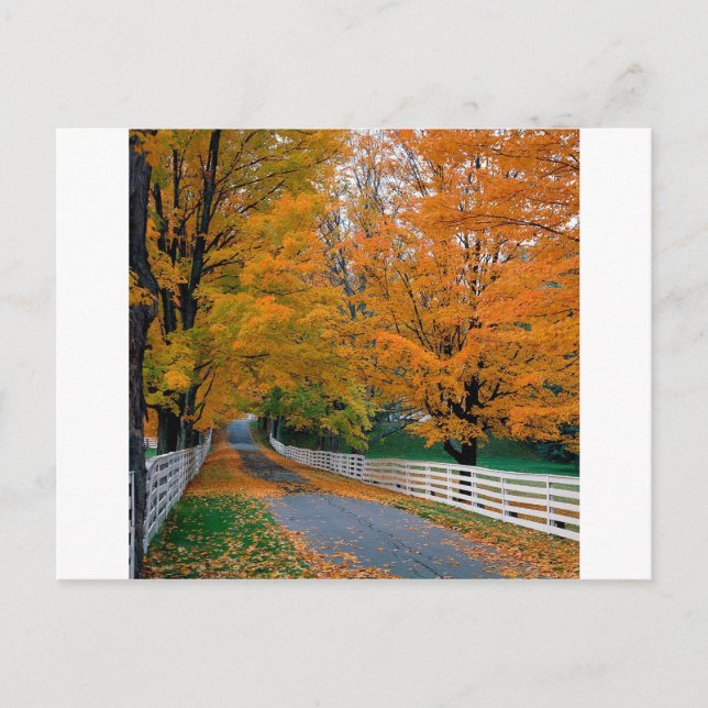 Herbst Landschaftlich Backroad New Hampshire Postkarte (Vorderseite)