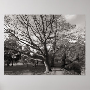 Herbst-Landschaftshinterkanten-Park Cardiff Poster