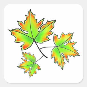 Herbst lässt eleganten Fall botanisch Quadratischer Aufkleber