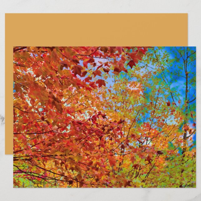 Herbst lässt farbenfrohe Orange Fall Themed Blue S (Vorne/Hinten)