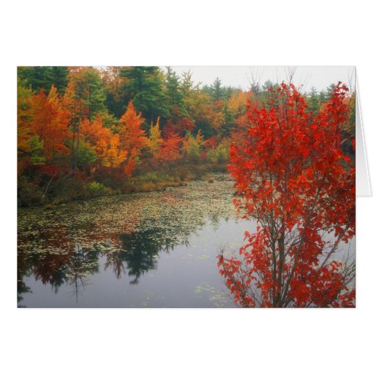 Herbst-Laub in See Karte