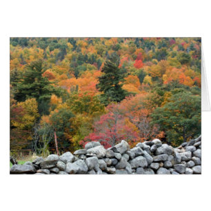 Herbst-Laub-Steinwand-Fotografie-Karte
