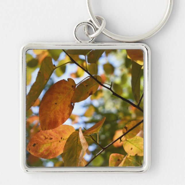 Herbst-Leaf-Herbst lässt Sky Nature Fotografy Schlüsselanhänger (Vorne)