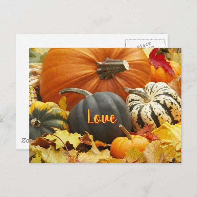 Herbst Liebe Herbst Foto Blätter Pumpkins Postkarte (Vorne/Hinten)
