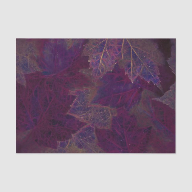 Herbst Lila glühende dunkle Ahorn-Blätter Seidenpapier (Vorderseite)