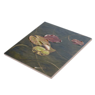 Herbst-Lilien-Auflagen - links Einfassung Fliese
