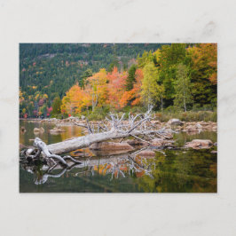 Herbst Maine Postkarte