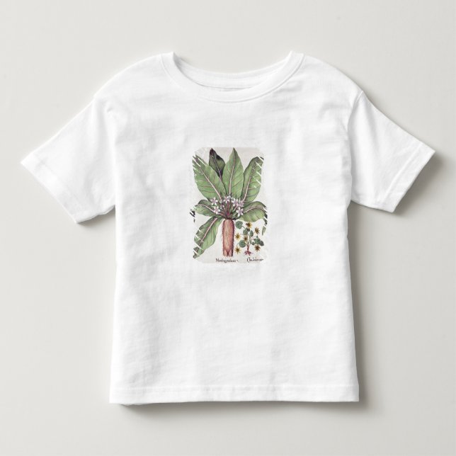 Herbst Mandrake, vom "Hortus Eystettensis" vorbei Kleinkind T-shirt (Vorderseite)