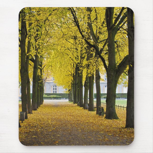 Herbst-Mauspad Mousepad (Vorne)