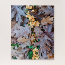 Herbst mit gelben Pilzen und braunen gefallenen Bl