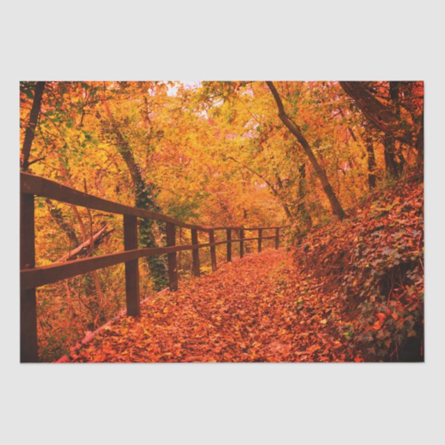 Herbst Moderne Geschenkwrap Blätter Orange Seidenpapier (Vorderseite)