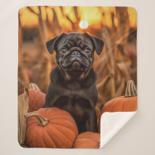 Herbst-Mops Sherpadecke