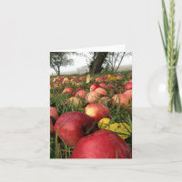 Herbst-Morgen in der Apfelgarten-Anmerkungs-Karte