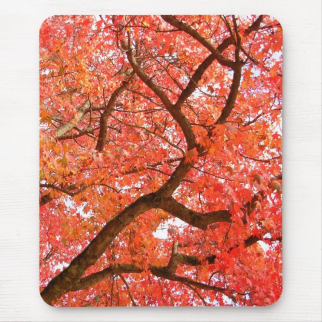 Herbst Mousepad Schöne Herbstlandschaft Geschenke (Vorne)