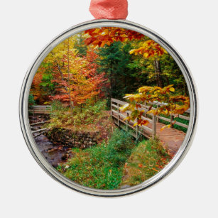 Herbst Munising Spur Alger County Michigan Silbernes Ornament