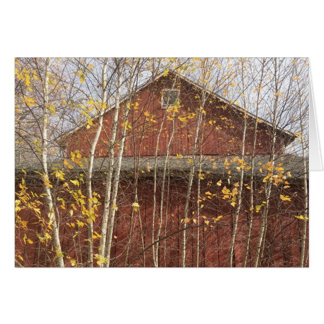Herbst - Neuengland (Vorderseite (Horizontal))
