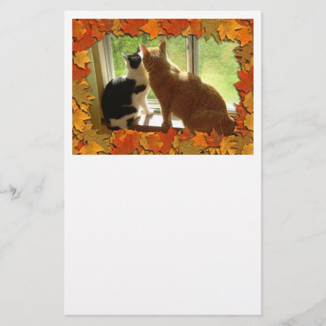 Herbst Orange Tabby Katzen Briefpapier (Vorderseite)