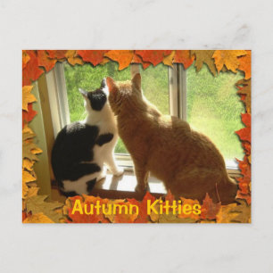 Herbst Orange Tabby Katzen Postkarte