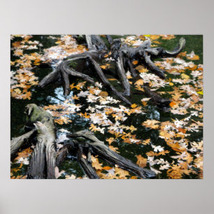 Herbst-Otter-Teich aus Blättern Poster
