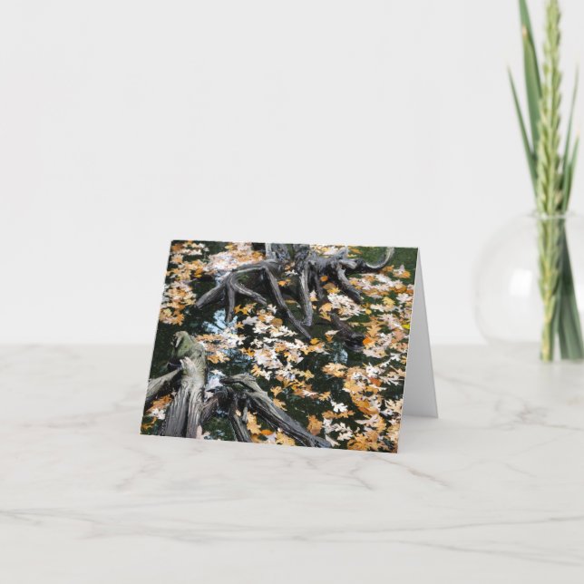 Herbst-Otter-Teich der Blätter (Vorderseite)