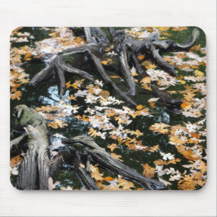 Herbst-Otter-Teich der Blätter Mousepad