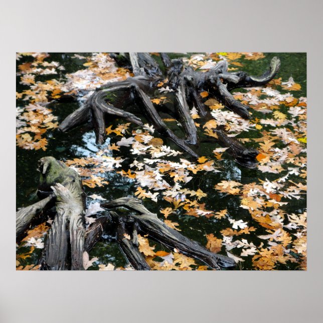 Herbst-Otter-Teich der Blätter Poster (Vorne)