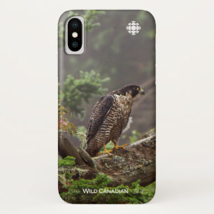 Herbst - Peregrine Falcon iPhone X Hülle