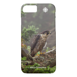 Herbst - Peregrine Falcon Case-Mate iPhone Hülle