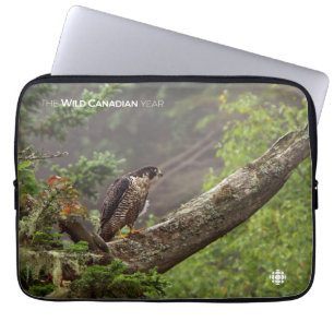 Herbst - Peregrine Falcon Laptopschutzhülle