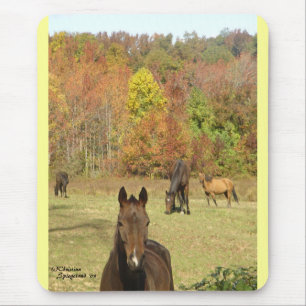 Herbst Pferde Mousepad