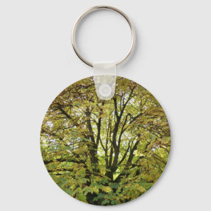 Herbst-PferdeKastanienbaum Schlüsselanhänger