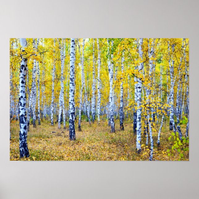 Herbst Poster (Vorne)