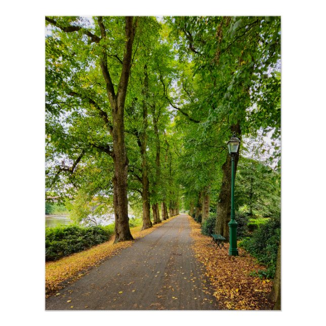 Herbst Poster (Vorderseite)