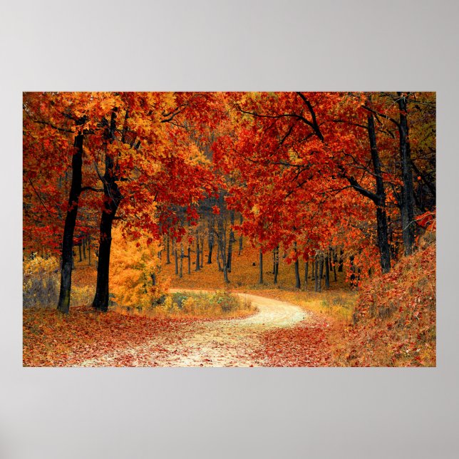 Herbst Poster (Vorne)