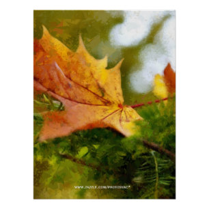 Herbst Poster