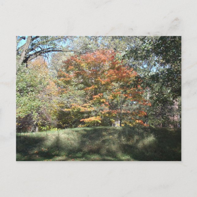 Herbst Postkarte (Vorderseite)