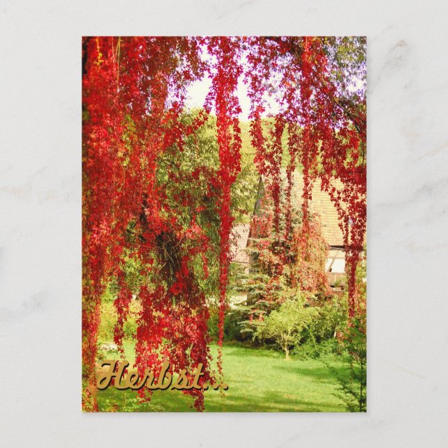 Herbst Postkarte (Vorderseite)