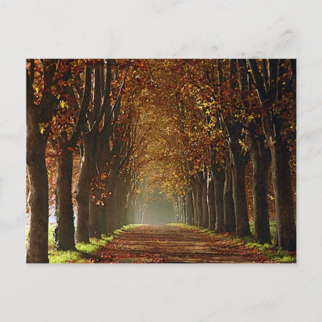 Herbst Postkarte (Vorderseite)