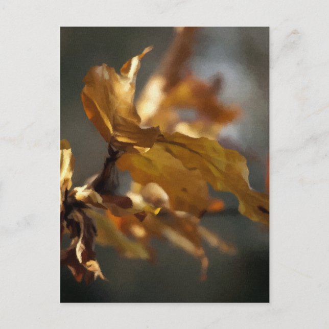 Herbst Postkarte (Vorderseite)