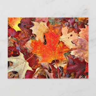 Herbst Postkarte