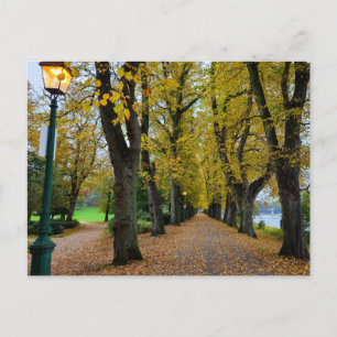 Herbst  postkarte