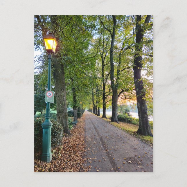 Herbst Postkarte (Vorderseite)