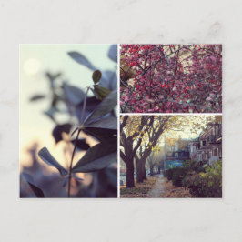Herbst Postkarte