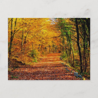 Herbst Postkarte
